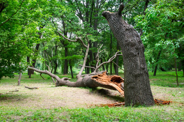 Soil Testing and Treatment in Princeton Meadows, NJ